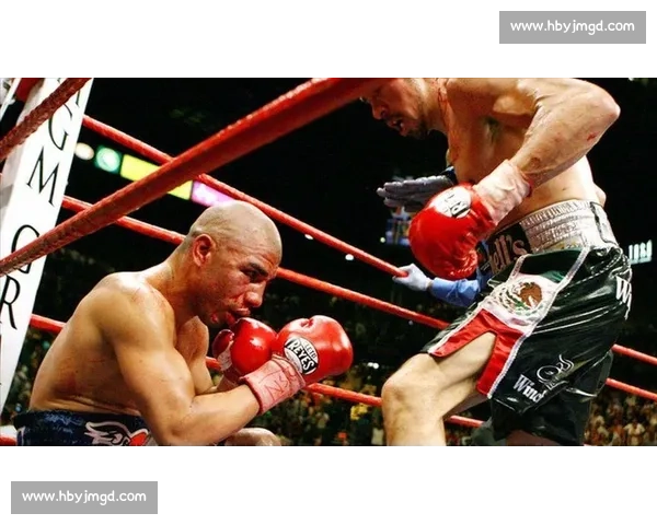 血战拉斯维加斯马加里托对决库托的荣耀与争议之夜拳坛历史性时刻
