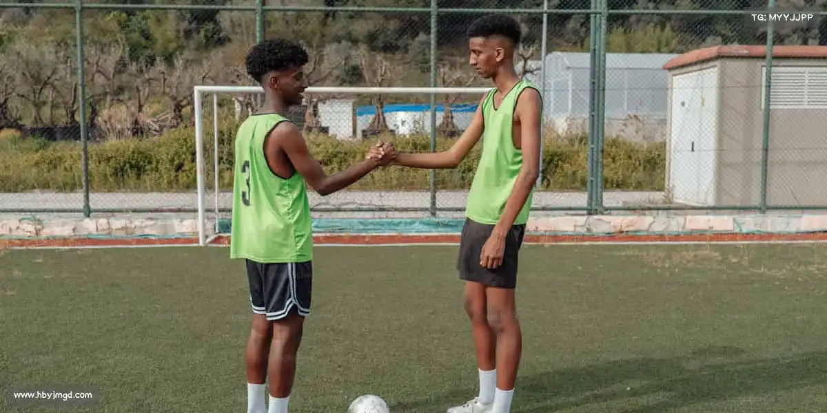 行业领先的理由